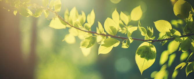 Sage opens electronics repurposing center in Philadelphia to improve global sustainability